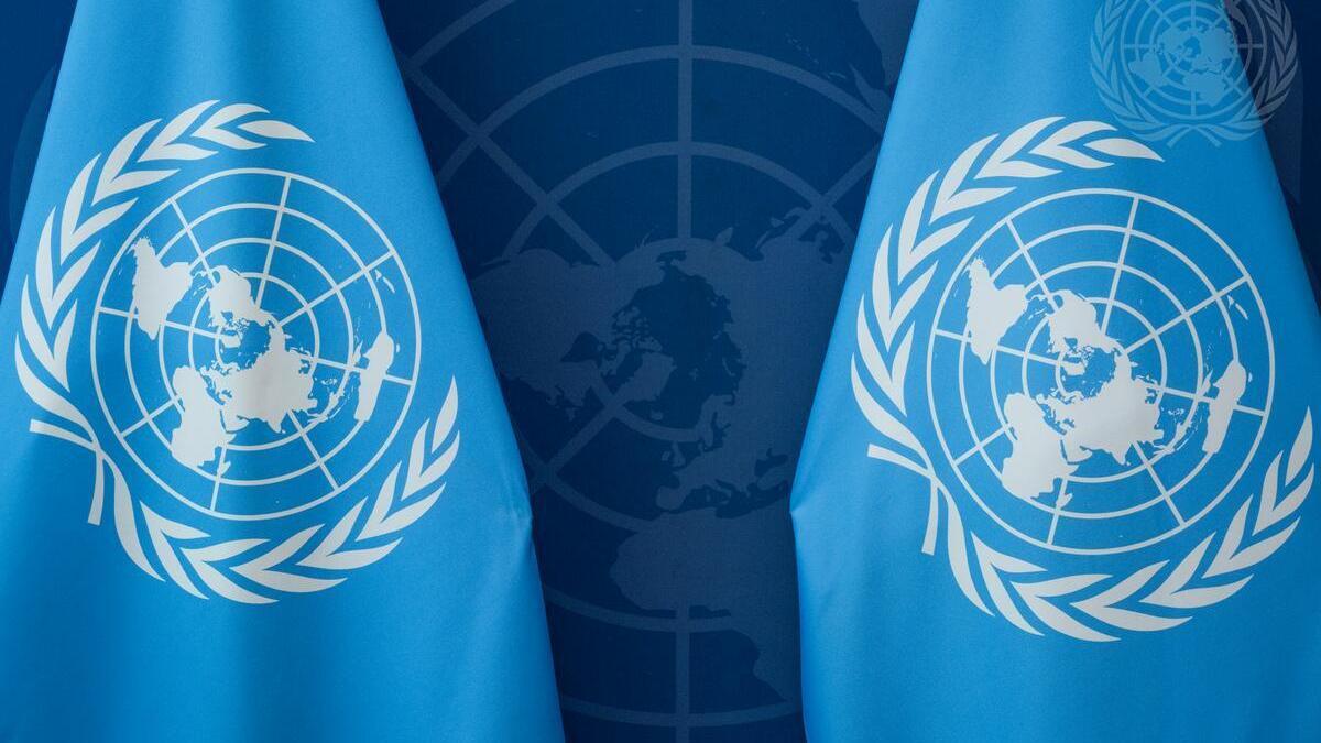 UN flags