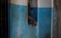 Surpopulation carcérale : la MINUJUSTH accompagne l’amélioration des conditions de vie dans les prisons en Haïti
